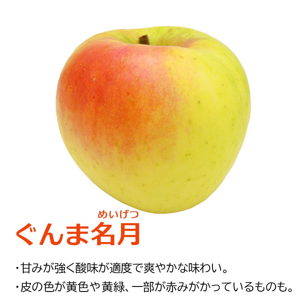 青森県りんご　希少品種「ぐんま名月」産地直送！【ご家庭向き：3kg、5kg、10kg】おまとめ買いがお得！（4箱までなら何箱買っても送料一律1,200円！－ただしお届け場所は同一1か所、同一kgの箱に限ります）