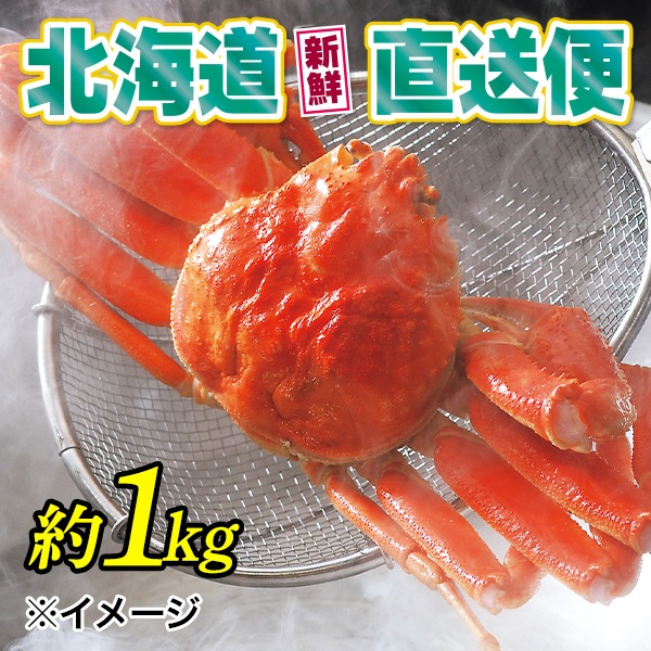 【北海道新鮮直送便】(送料はまとめ買いがお得!)活〆浜茹特大ズワイガニ1尾(約1kg/1尾)