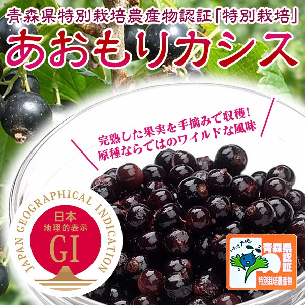 【信頼のGIマーク】特別栽培！自然の恵みを詰め込んだ一粒「あおもりカシス」（冷凍果実）500g×2袋
