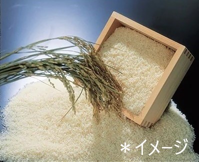 北海道 旭川】農家のこだわりの米食べ比べ10㎏(ななつぼし5kg・ゆめ