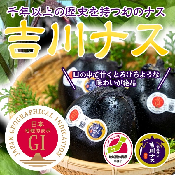 10/8夜放送・人気バラエティ番組で紹介された吉川ナス！【信頼のGIマーク】コロンとした見た目が可愛い！！「吉川ナス」（①大サイズ/290g以上340g未満×8個　3,031円）（②中サイズ/240g以上290g未満×9個　2,653円）