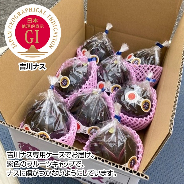 10/8夜放送・人気バラエティ番組で紹介された吉川ナス！【信頼のGIマーク】コロンとした見た目が可愛い！！「吉川ナス」（①大サイズ/290g以上340g未満×8個　3,031円）（②中サイズ/240g以上290g未満×9個　2,653円）