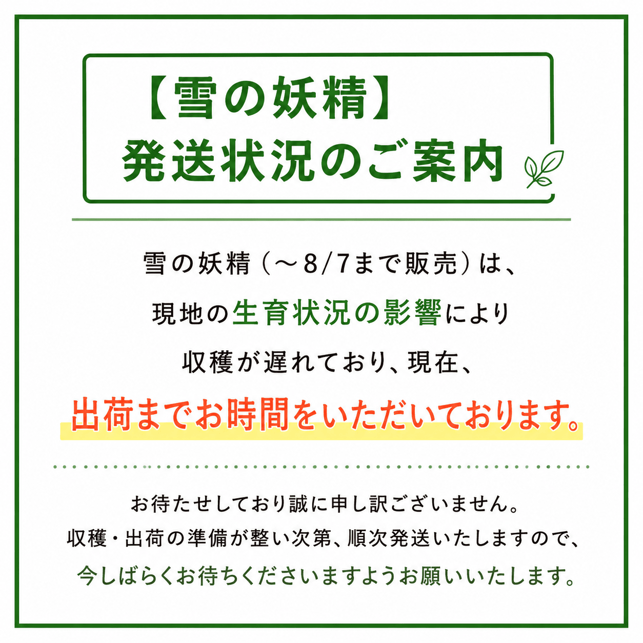 白いとうもろこし 「ホワイトショコラ」10本入り(約4～5kg)、20本入り(約8kg以上)【糖度20度前後！】北海道富良野市山部より朝採り直送