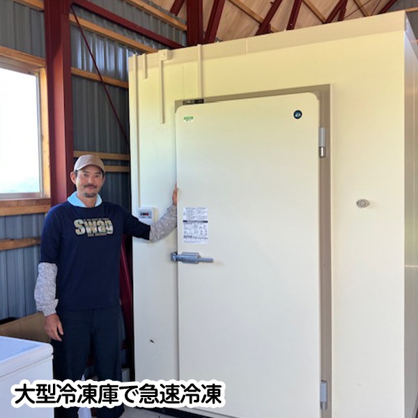 【送料込】「富良野市山部・冷凍ハスカップ１kgパック」 摘みたての美味しさをそのままギュッと冷凍！栄養たっぷり！！