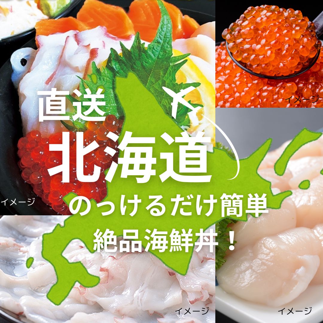 【北海道新鮮直送便】(送料はまとめ買いがお得!)お得!な特製海鮮丼セット(鱒いくら醤油漬け:80g・刺身用帆立(4S):200g・刺身用サーモン:100g・タコ刺身用:100g・タラバガニむき身:100g/約2~4人前)