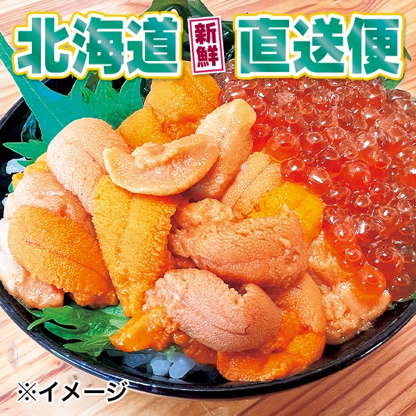 【北海道新鮮直送便】（送料はまとめ買いがお得！）うにいくら丼セット（うに：1折100g・鱒いくら80g）