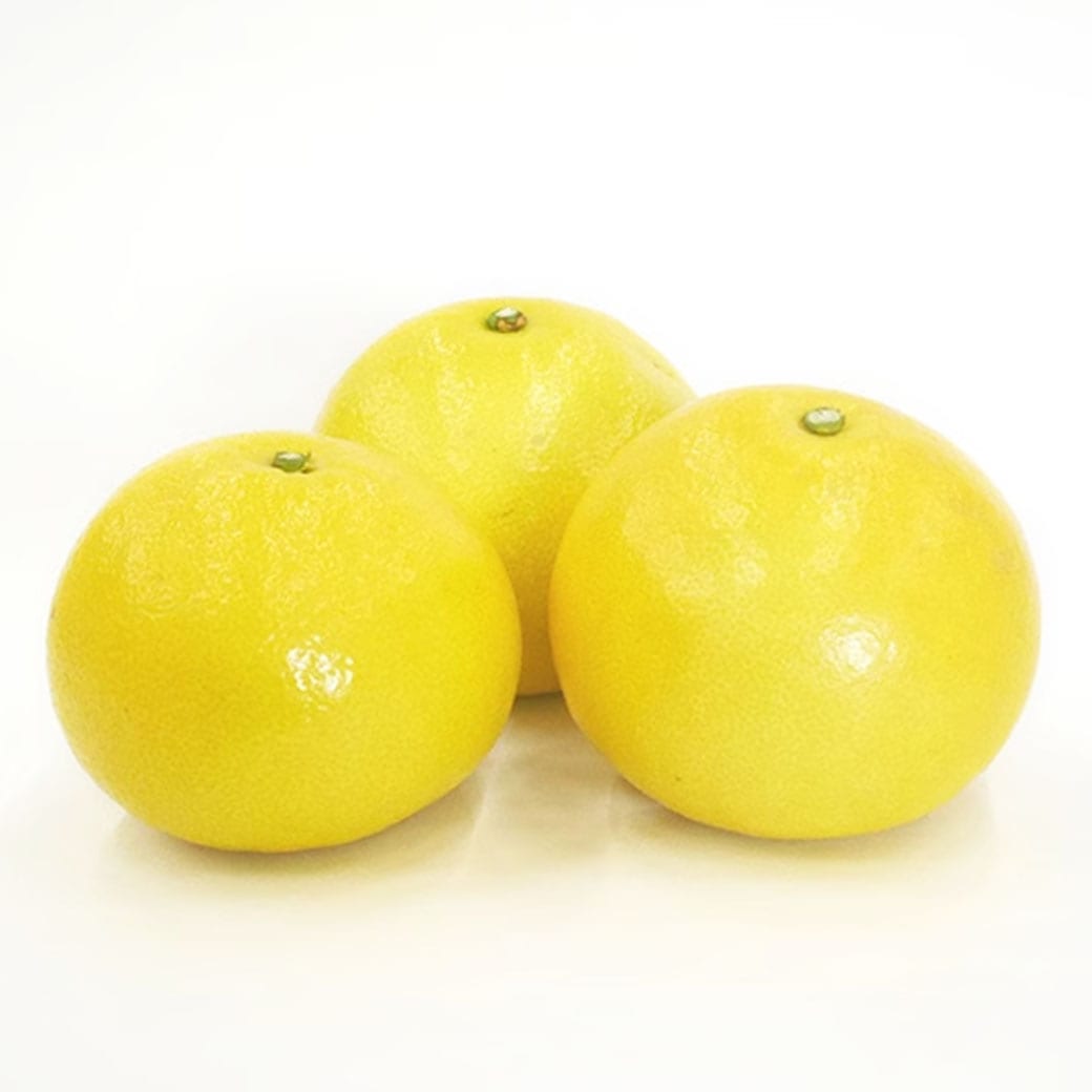 【送料込】太陽の恵みたっぷり！愛媛県愛南町の農園からお届け『土佐文旦』中玉 4kg (8～12個)