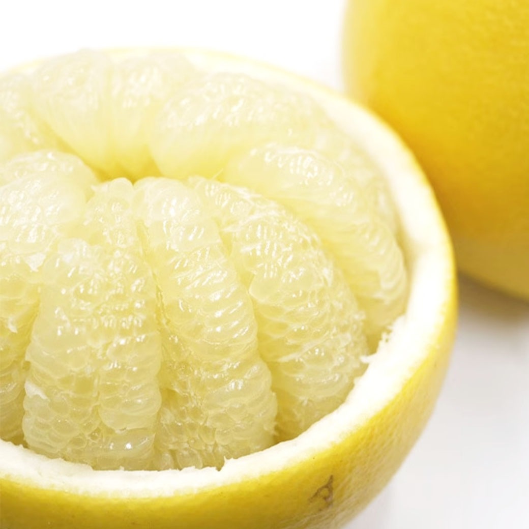 【送料込】太陽の恵みたっぷり！愛媛県愛南町の農園からお届け『土佐文旦』中玉 4kg (8～12個)