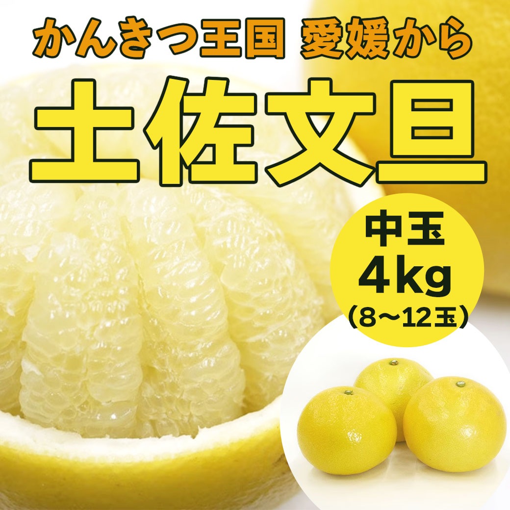 【送料込】太陽の恵みたっぷり！愛媛県愛南町の農園からお届け『土佐文旦』中玉 4kg (8～12個)