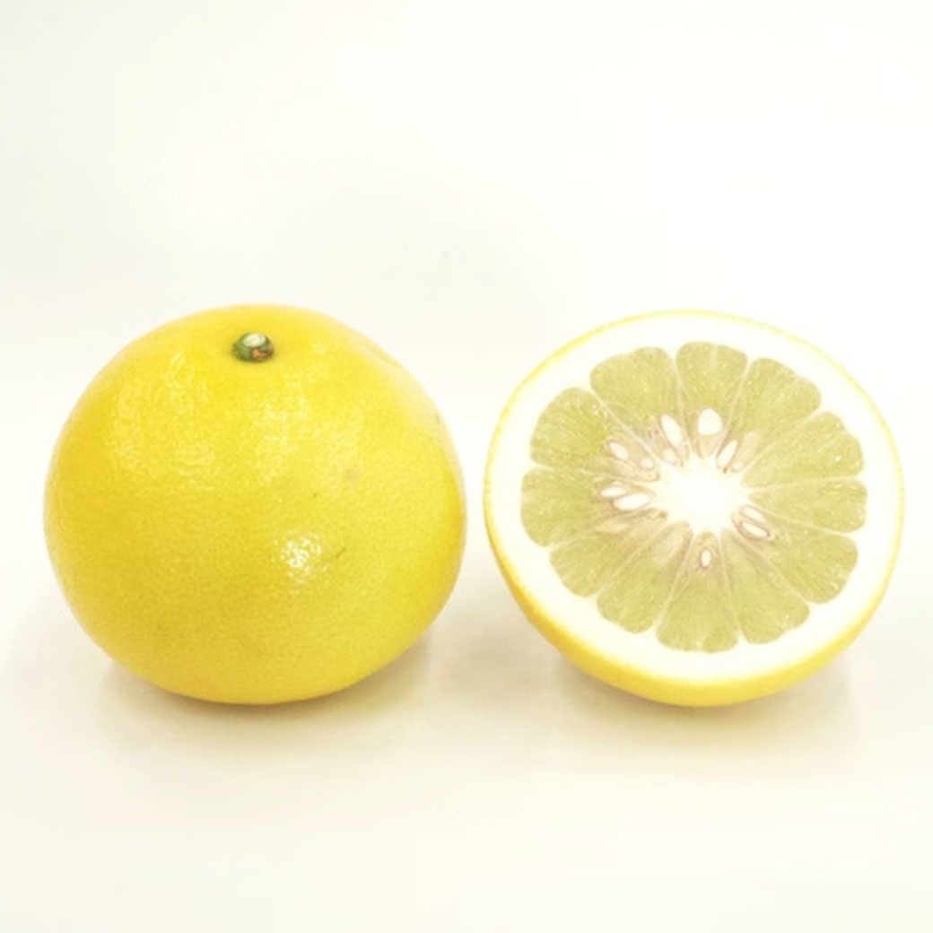 【送料込】太陽の恵みたっぷり！愛媛県愛南町の農園からお届け『土佐文旦』大玉 4kg (5～7個)