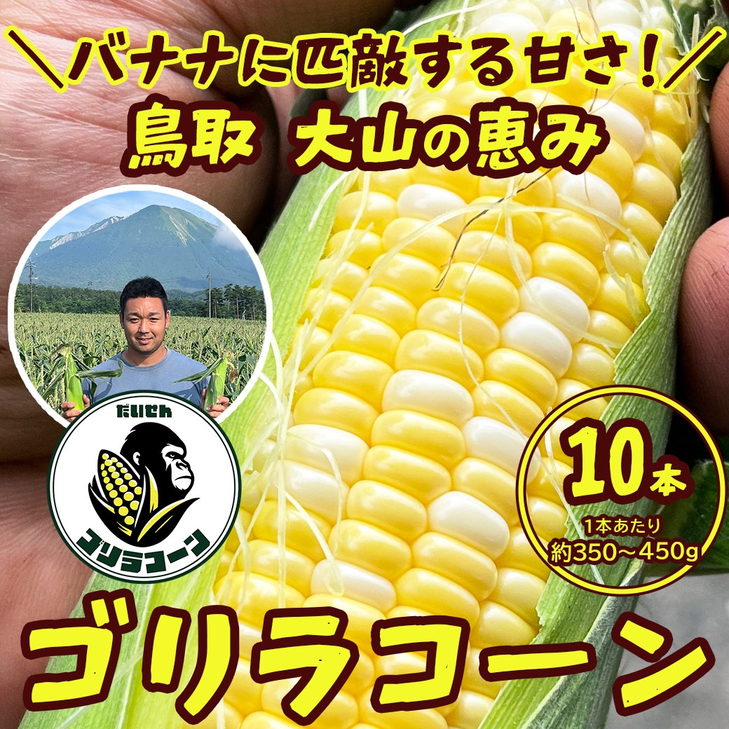 【送料込】バナナに匹敵する甘さ!!大山の恵みたっぷりのトウモロコシ『ゴリラコーン・ドルチェドリーム』10本セット（約350～450ｇ/本）
