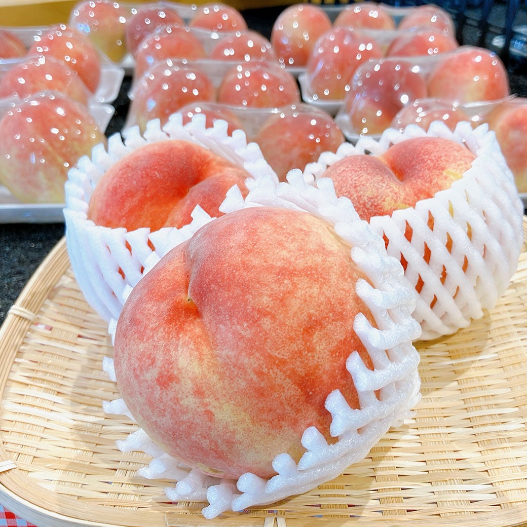 （予約販売）太陽と赤土が育んだ極上の甘み「桃 あかつき」贈答箱入り2.5～3kg（6～8玉）
