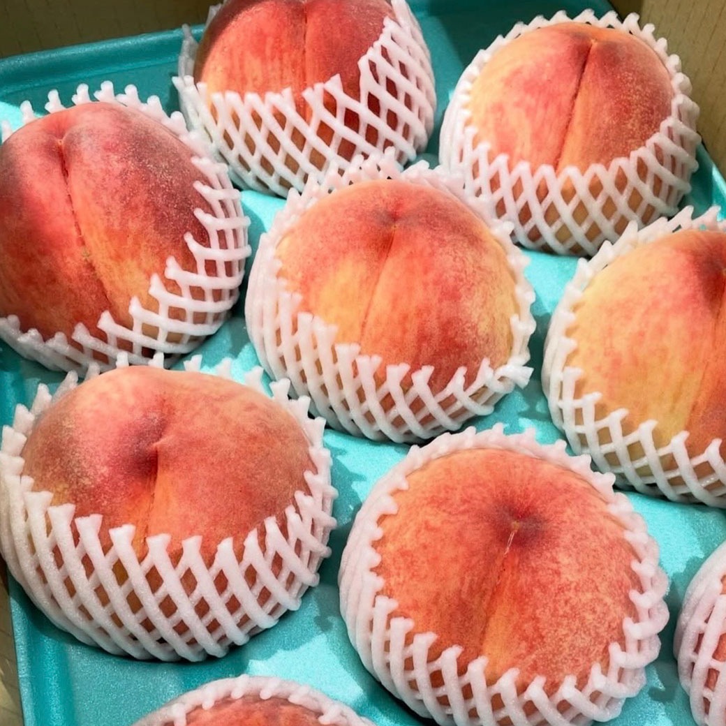 （予約販売）太陽と赤土が育んだ極上の甘み「桃 あかつき」贈答箱入り2.5～3kg（6～8玉）