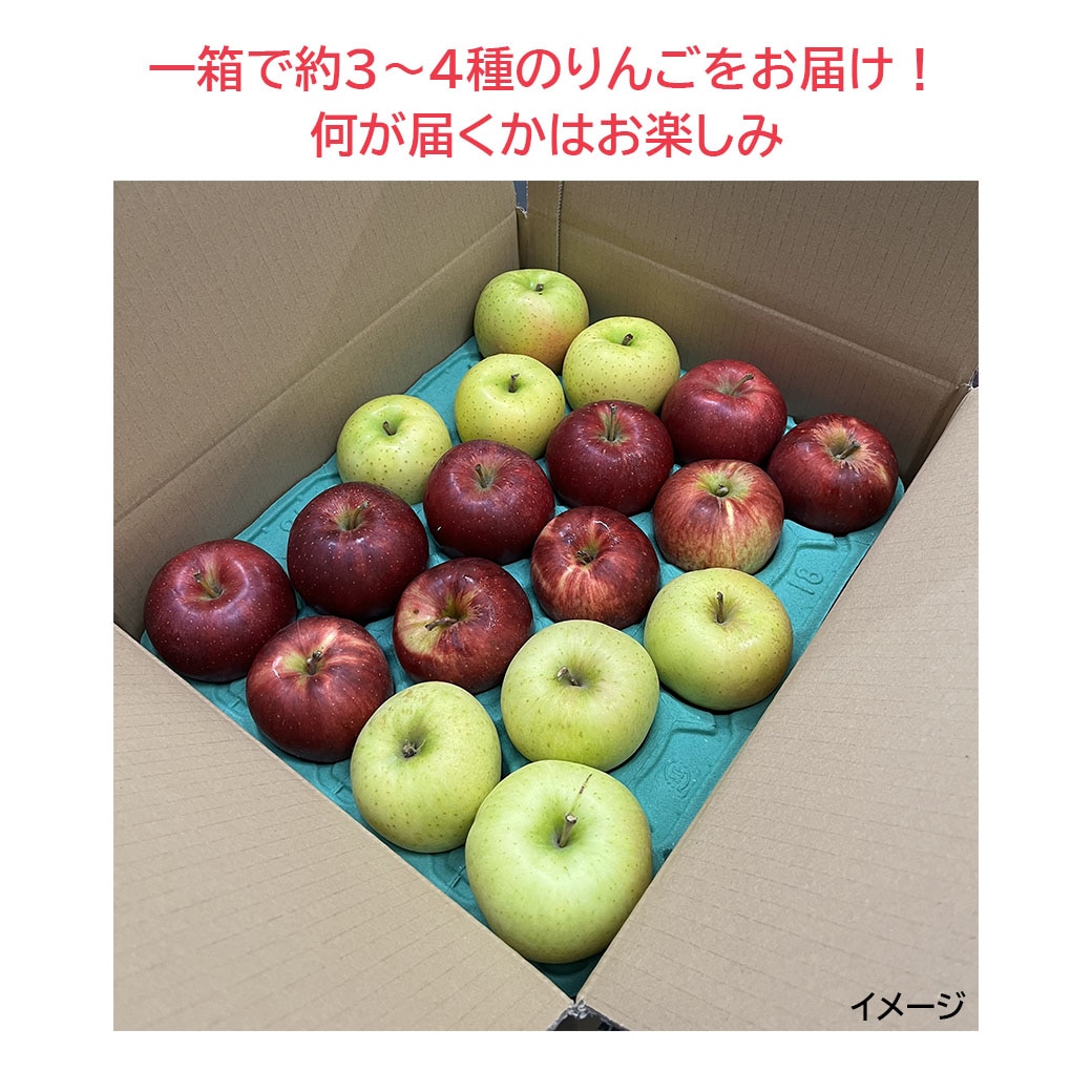 青森県から直送!『ミステリーりんご』(その時に「旬の品種」をお届け!どの品種が入っているかは届いてからのお楽しみ!)(届いた品種がすぐに分かるご案内シートを同梱!)【ご家庭向き:約3kg、約5kg】おまとめ買いがお得!(4箱までなら何箱買っても送料一律1,200円!※ただしお届け場所は同一1か所、同一kgの箱に限ります)