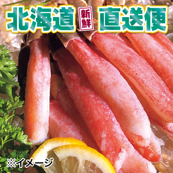 【北海道新鮮直送便】(送料はまとめ買いがお得!) 絶品極太ズワイガニポーション(500g/約15本)