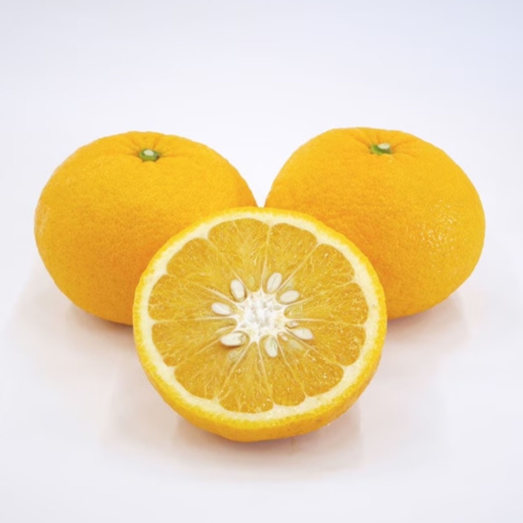 【送料込】みずみずしい果肉と爽やかな酸味がたまらない！愛媛県愛南町の農園からお届け『甘夏』5kg (8～14個)