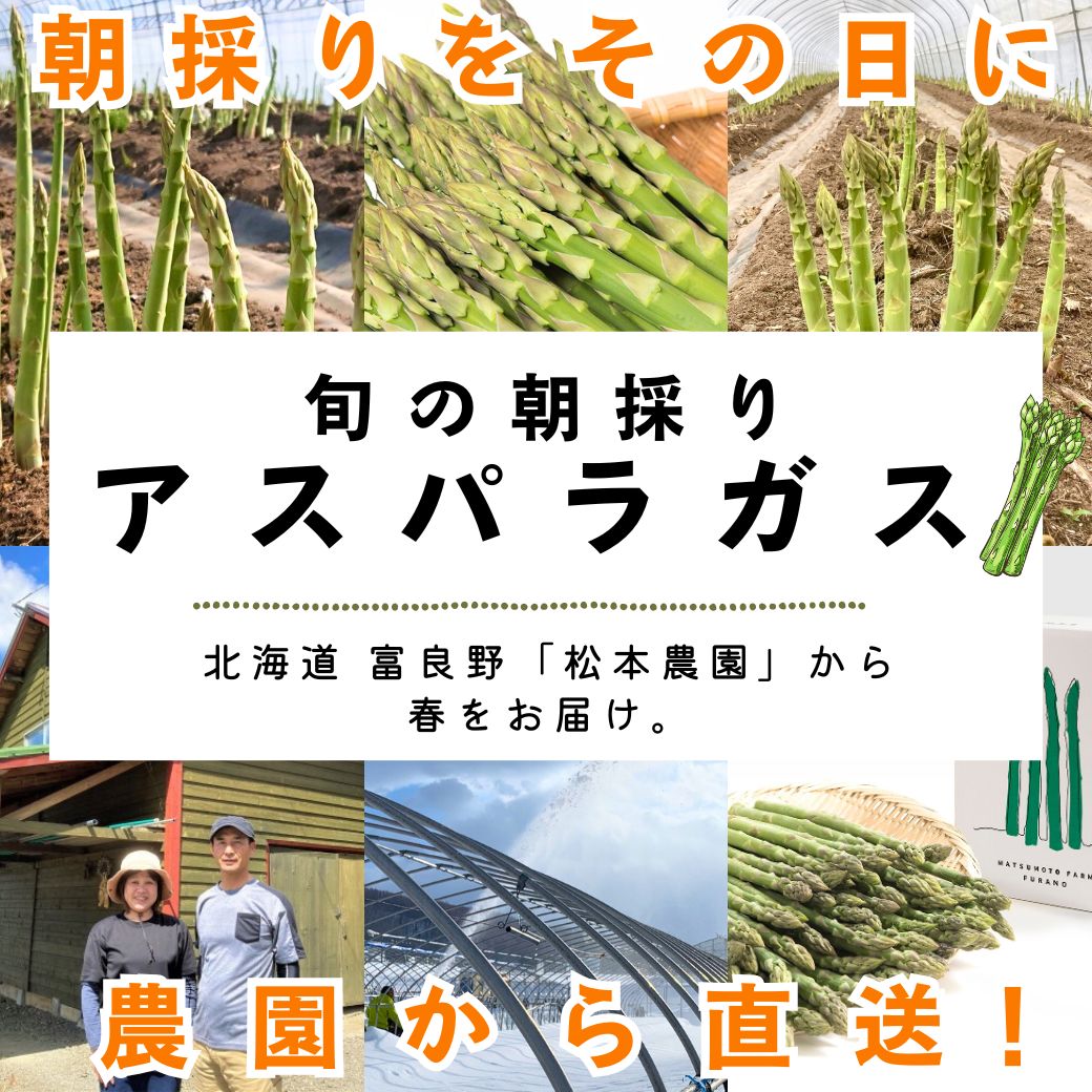 【送料込】北海道から旬の味覚！鮮度を保ってお届け『朝採りアスパラガス・無選別品』1kg箱（約30～40本入り）・2kg箱（約60～80本入り）