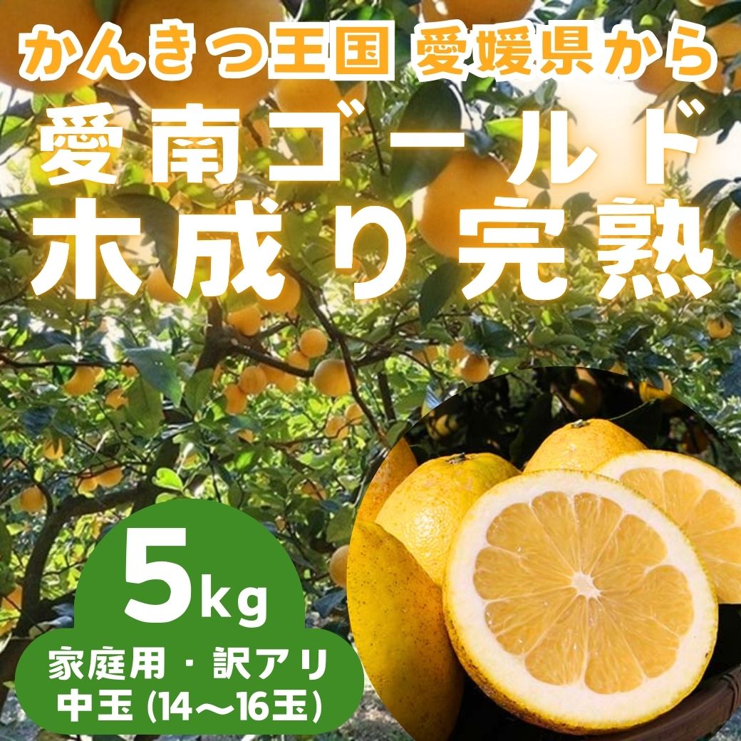 goya　k河内晩柑7kg×２箱ぐるりん ミンコ 河内晩柑7kg×2箱ぐるりん 楽天市場】河内晩柑(の通販