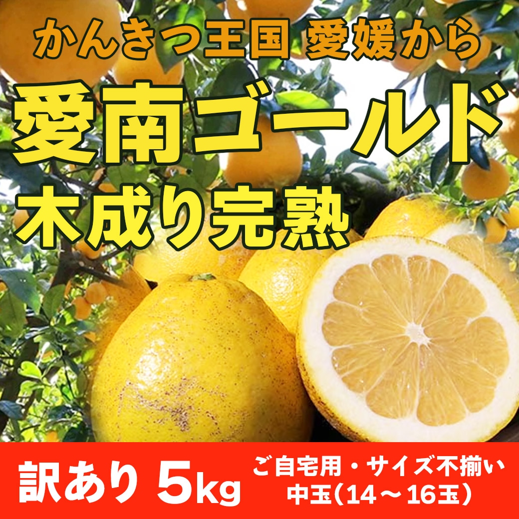 【送料込】愛媛県愛南町よりお届け！河内晩柑「愛南ゴールド 木成り完熟」 ご家庭用・訳あり品5kg(サイズ不揃い)