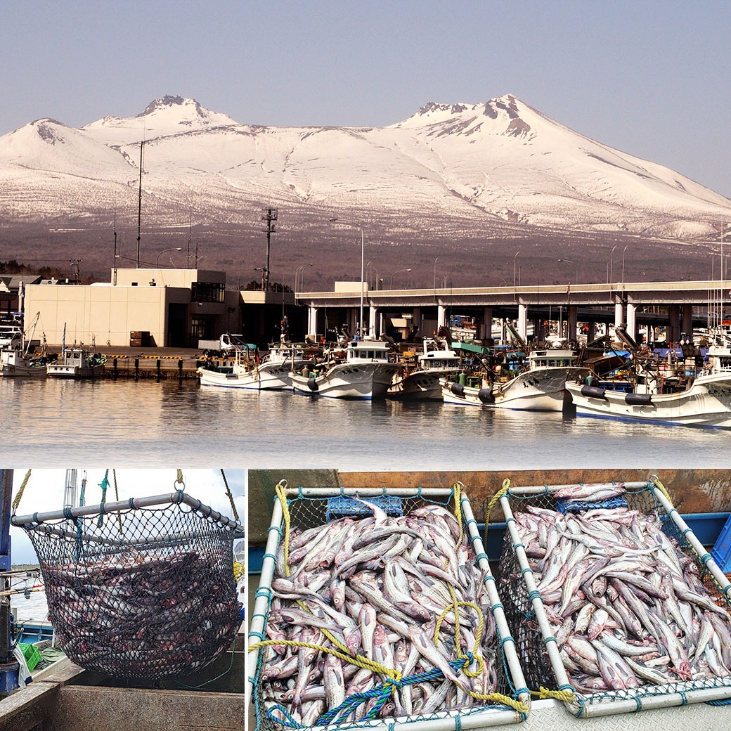 【送料ホップスが負担！ 先着150名様限定】『北海道噴火湾・丸鮮道場水産　たらこ・無着色たらこ』ひと口で分かるキメ細やかな粒子感とたらこ本来の味わいをお楽しみください!!