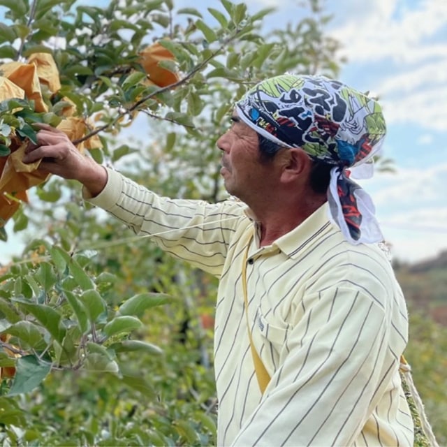 山形県大江町産「じゅわ～っと蜜入り」『こうとくリンゴ・秀以上 』約