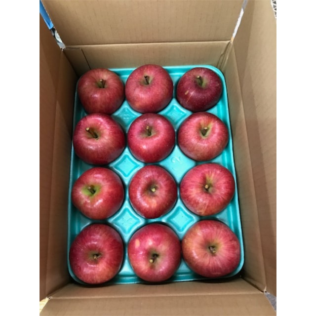 山形県大江町産「じゅわ～っと蜜入り」『こうとくリンゴ・秀以上 』約3kg（10～16玉入り）☆11/1～11/20頃出荷予定☆