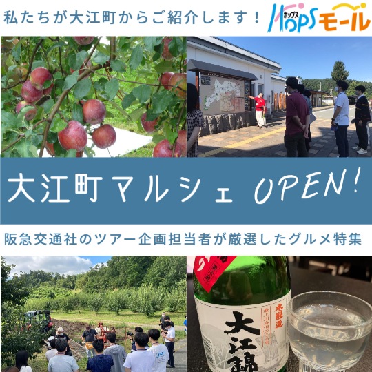 山形県大江町産「じゅわ～っと蜜入り」『こうとくリンゴ・秀以上 』約3kg（10～16玉入り）☆11/1～11/20頃出荷予定☆