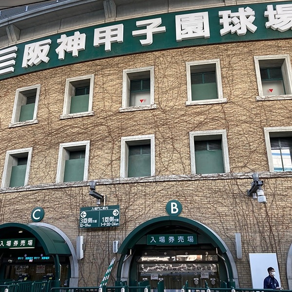 【送料込】選手に愛され続ける虎風荘カレー2箱2食と伝統の甲子園カレー（中辛）4箱8食 計10食 コラボセットＥ