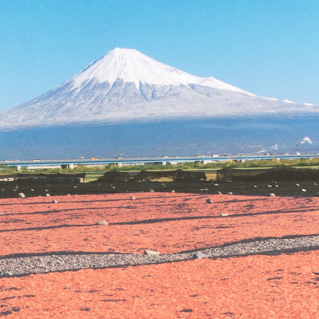 【送料込】静岡 駿河湾産100％！『由比港から生桜えび・天日干し桜えび、茹でしらすセット』