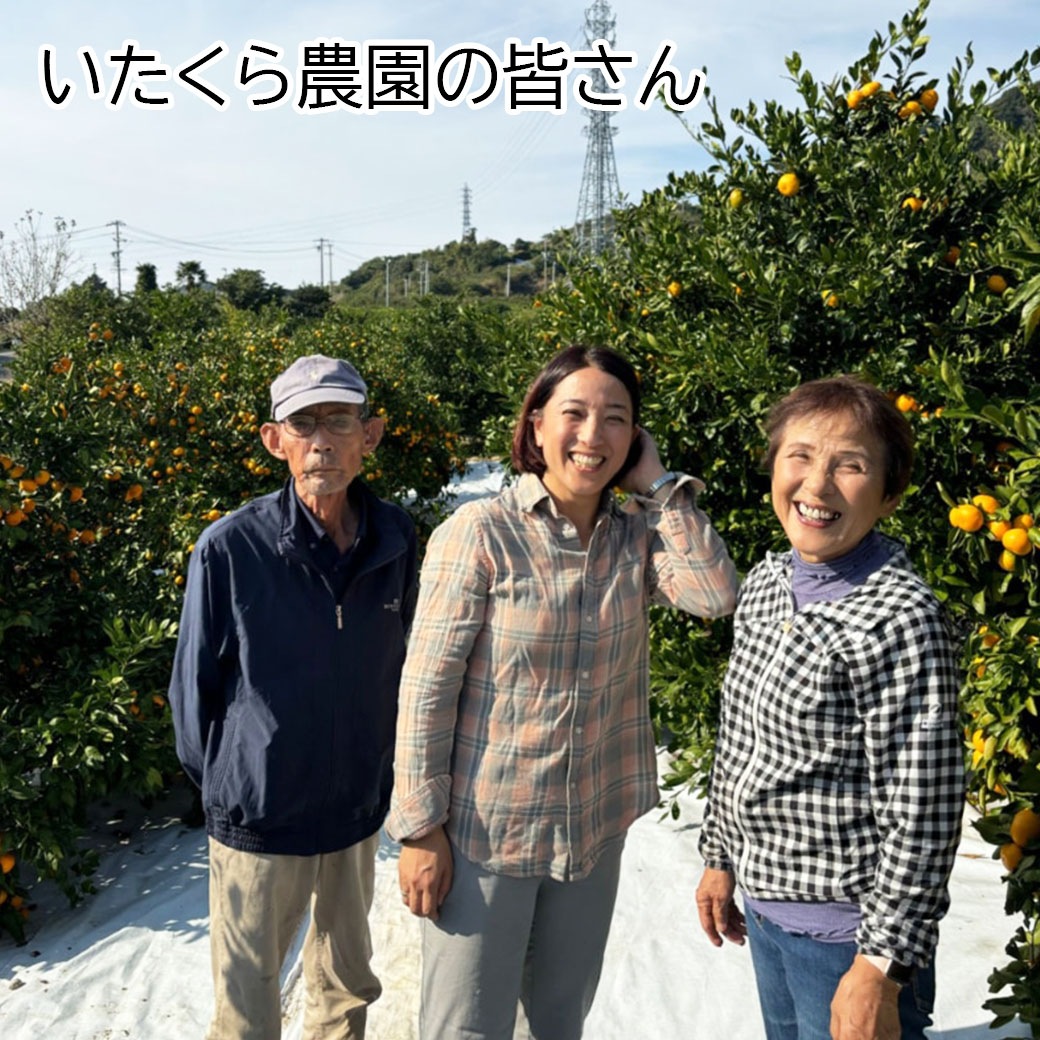 いたくらさんちのじゃばらジュレ7個セット