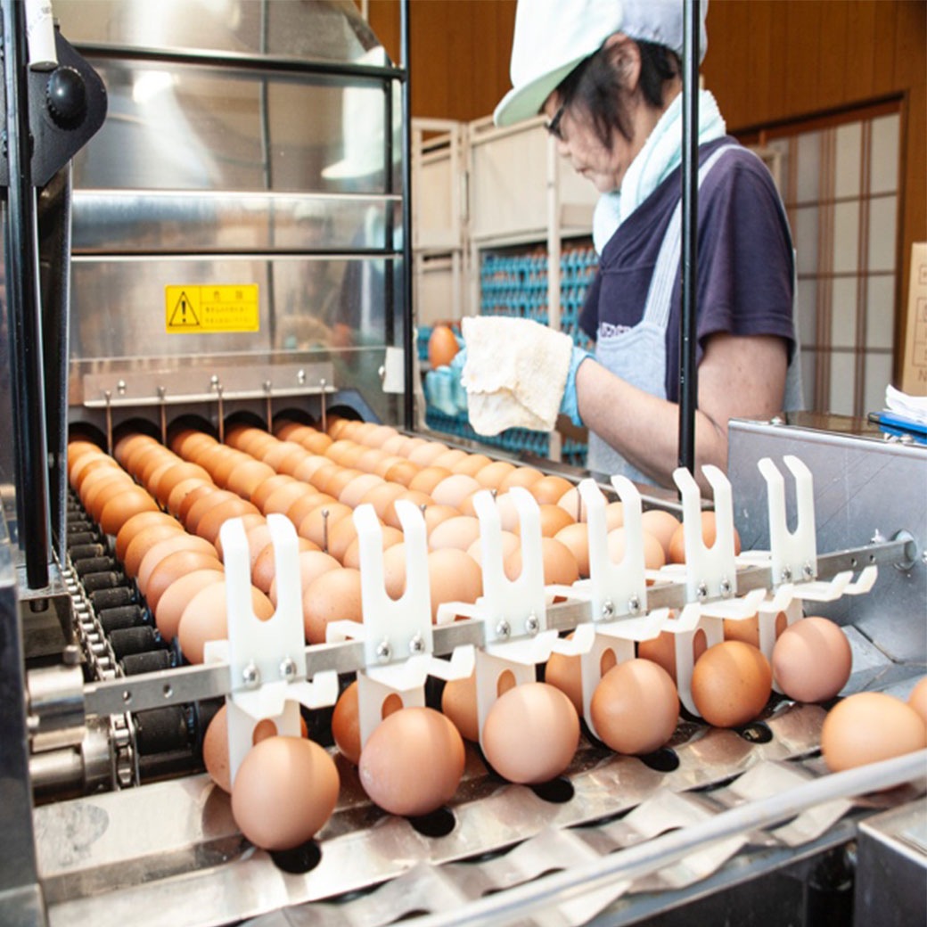 【送料込】「黒鶏が生んだ極上たまご ― 水野谷鶏卵店の濃厚プレミアム卵」30個入り/50個入り