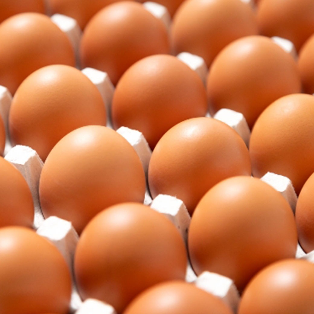 【送料込】「黒鶏が生んだ極上たまご ― 水野谷鶏卵店の濃厚プレミアム卵」30個入り/50個入り