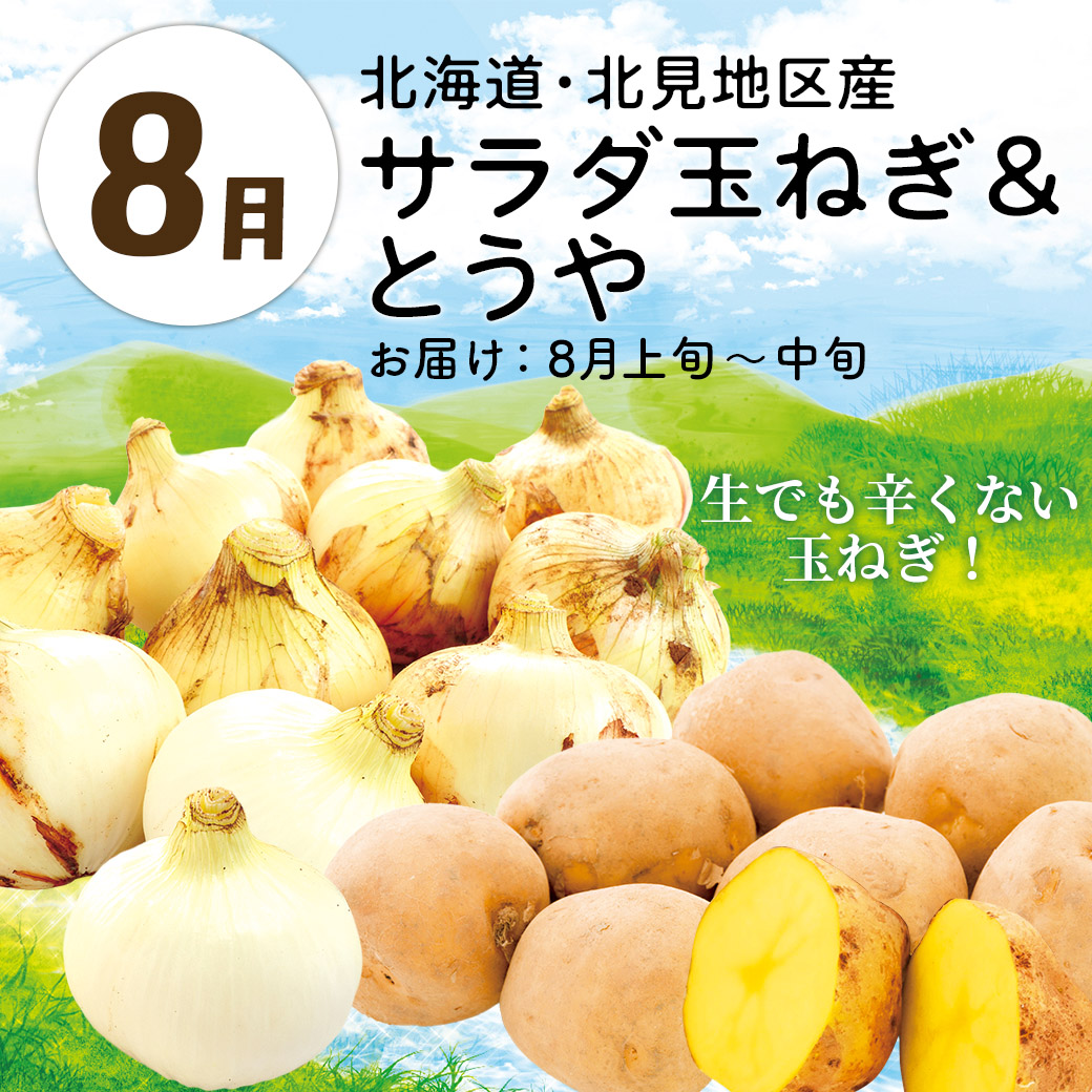 【送料込】『大地と海の産直便』北海道・青森・熊本から一番おいしい時期にお届け！「選べる頒布会 3回・6回・1年コース」