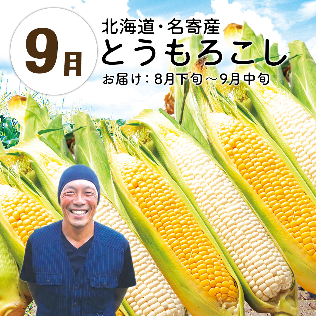 【送料込】『大地と海の産直便』北海道・青森・熊本から一番おいしい時期にお届け！「選べる頒布会 3回・6回・1年コース」