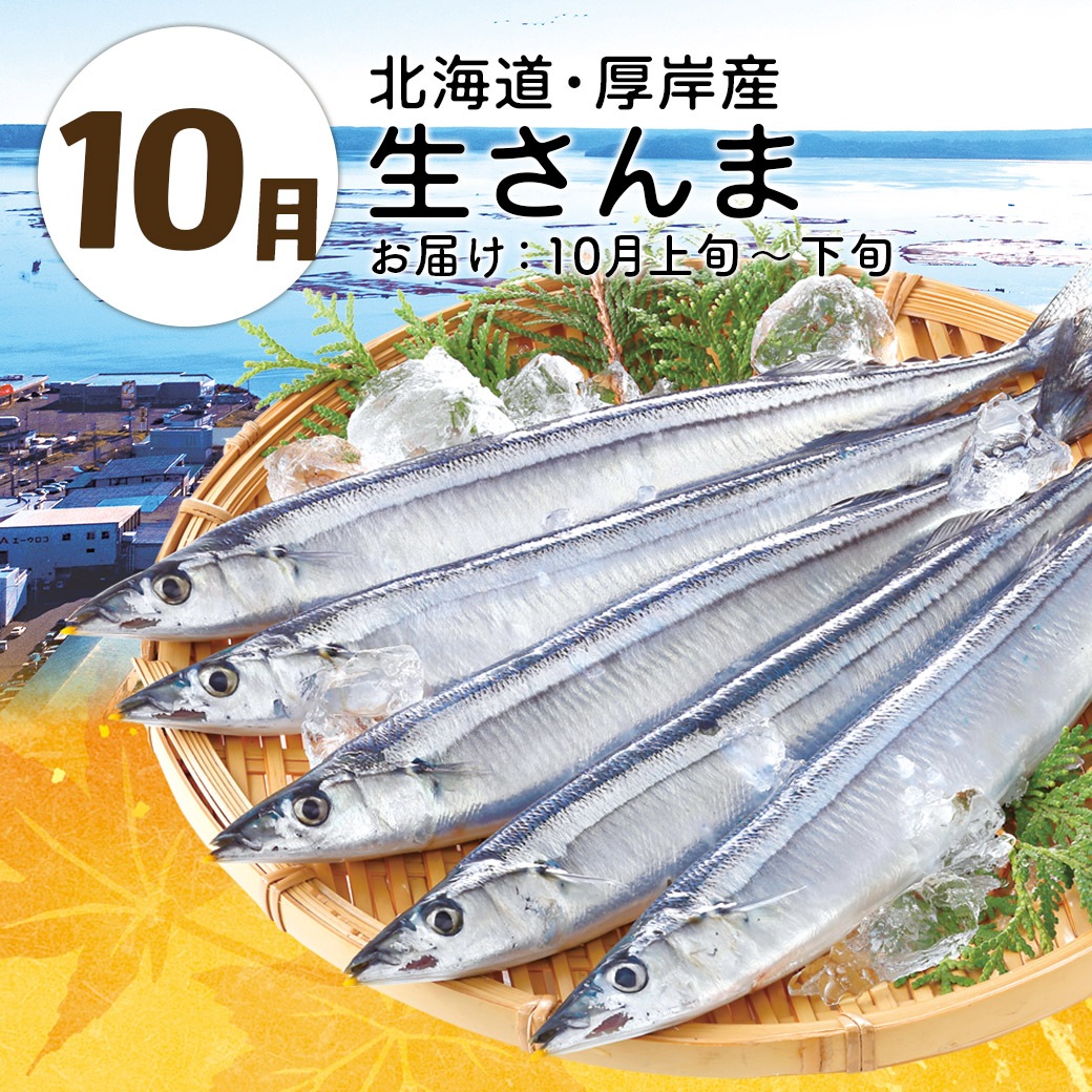 【送料込】『大地と海の産直便』北海道・青森・熊本から一番おいしい時期にお届け！「選べる頒布会 3回・6回・1年コース」