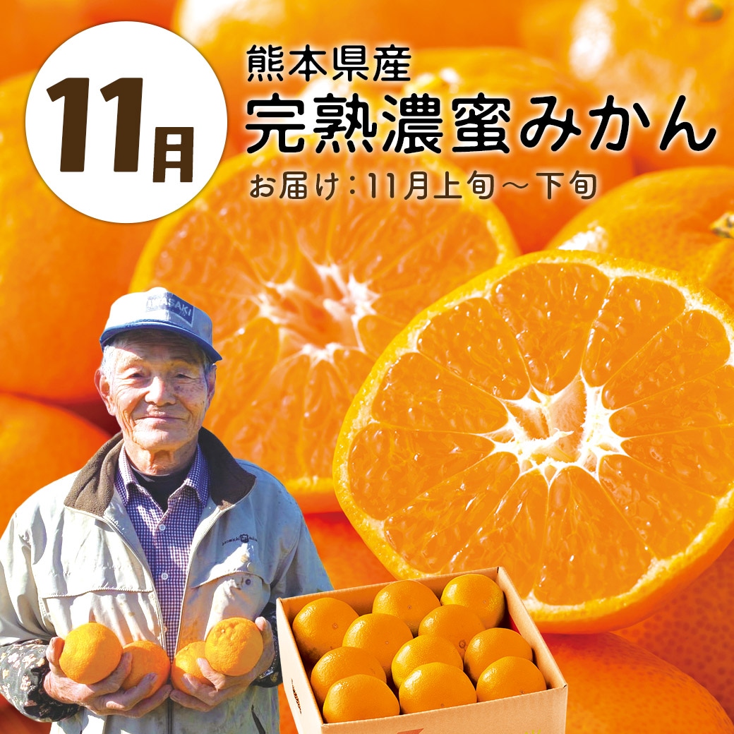 【送料込】『大地と海の産直便』北海道・青森・熊本から一番おいしい時期にお届け！「選べる頒布会 3回・6回・1年コース」