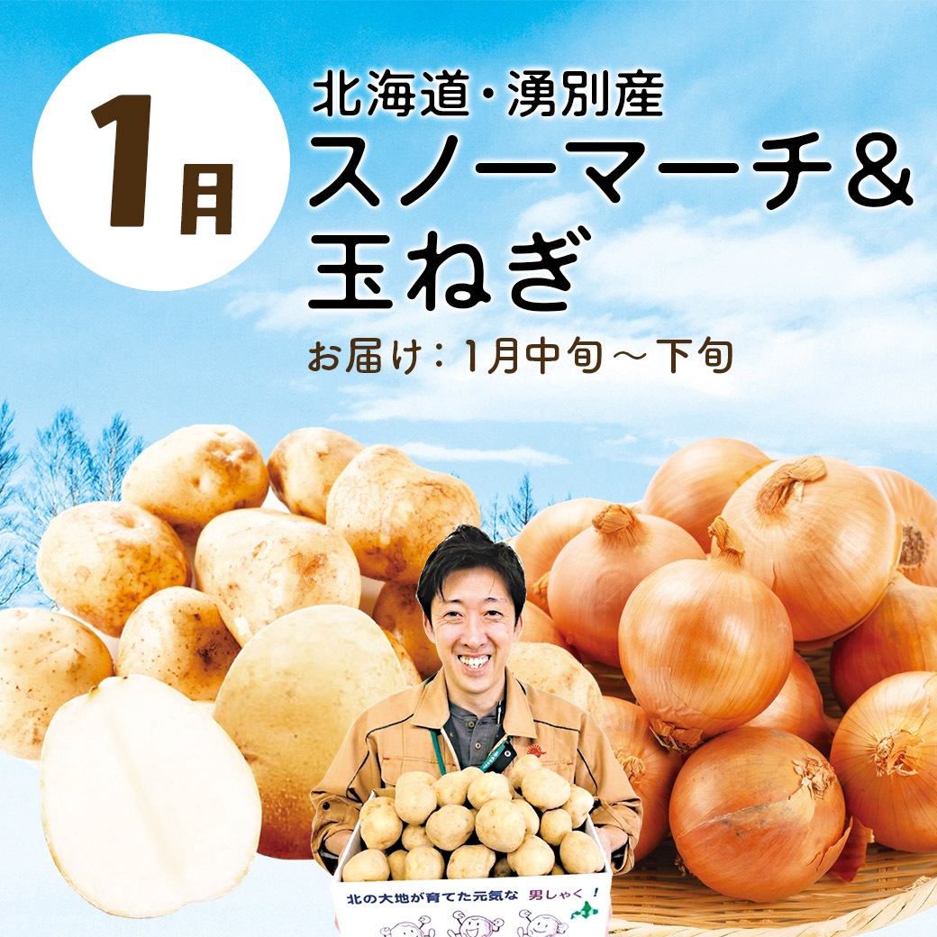 【送料込】『大地と海の産直便』北海道・青森・熊本から一番おいしい時期にお届け！「選べる頒布会 3回・6回・1年コース」