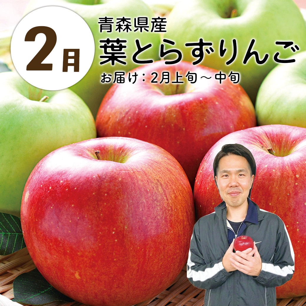 【送料込】『大地と海の産直便』北海道・青森・熊本から一番おいしい時期にお届け！「選べる頒布会 3回・6回・1年コース」
