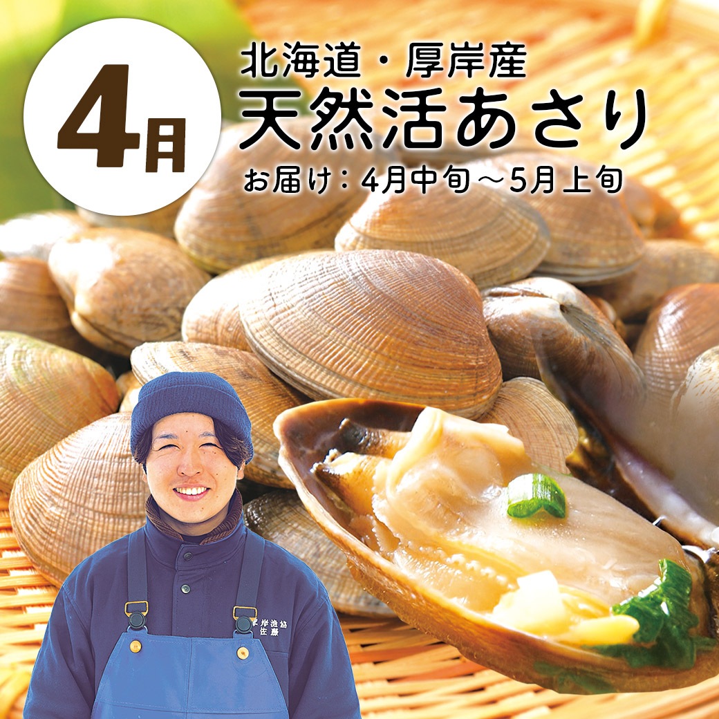【送料込】『大地と海の産直便』北海道・青森・熊本から一番おいしい時期にお届け！「選べる頒布会 3回・6回・1年コース」