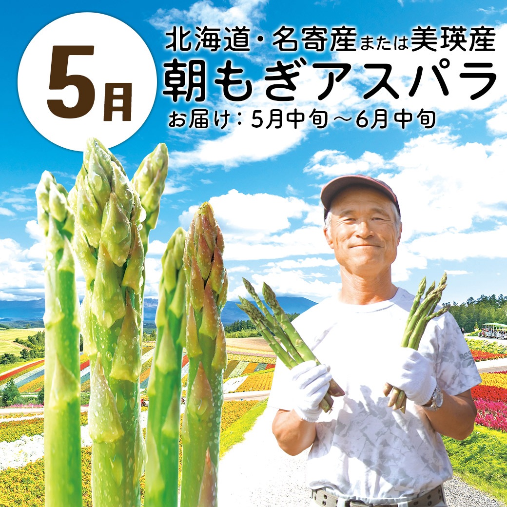 【送料込】『大地と海の産直便』北海道・青森・熊本から一番おいしい時期にお届け！「選べる頒布会 3回・6回・1年コース」
