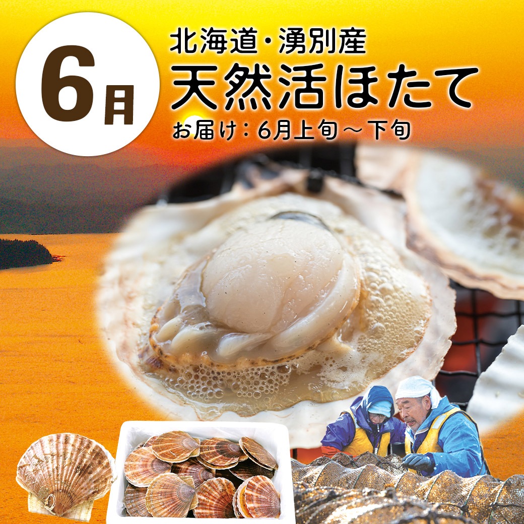 【送料込】『大地と海の産直便』北海道・青森・熊本から一番おいしい時期にお届け！「選べる頒布会 3回・6回・1年コース」