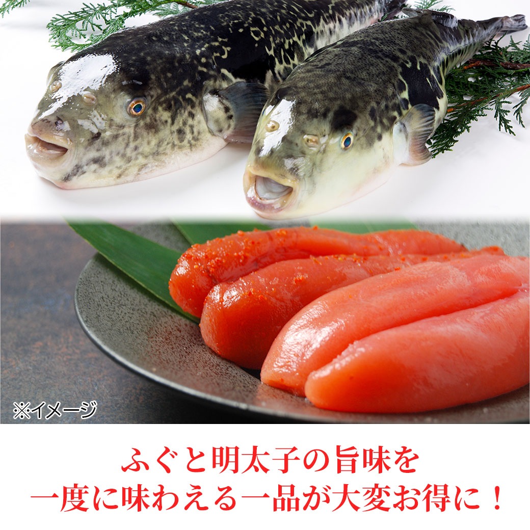 【送料込】70％OFF!!絶品『とらふぐ明太子刺し』大皿に敷き詰められた美しさ☆ふぐ専門店「福べ」監修≪食品ロス削減企画≫