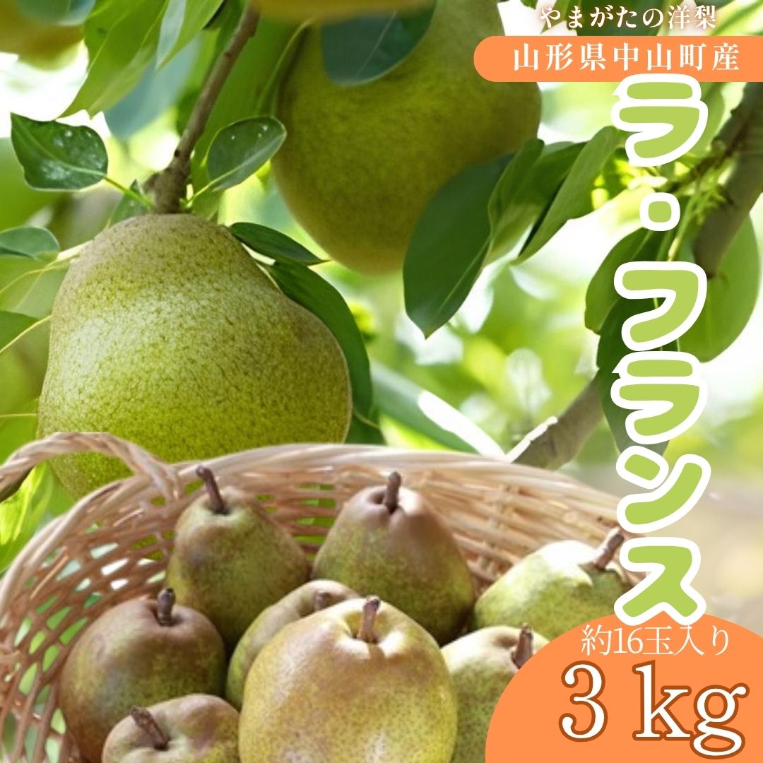 山形県中山町特産洋ナシ　ラ・フランス 3kg　約16個入り