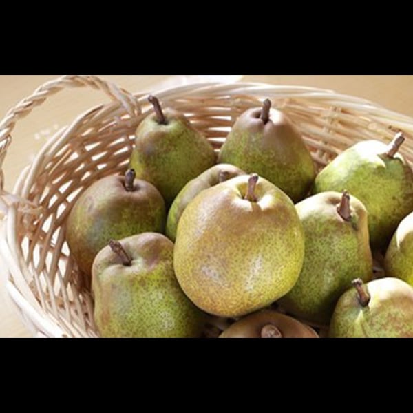 山形県中山町特産洋ナシ　ラ・フランス 3kg　約16個入り