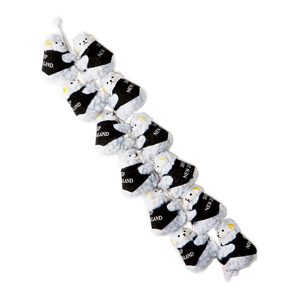 世界のお土産】（送料はまとめ買いがお得！） ニュージーランド 土産