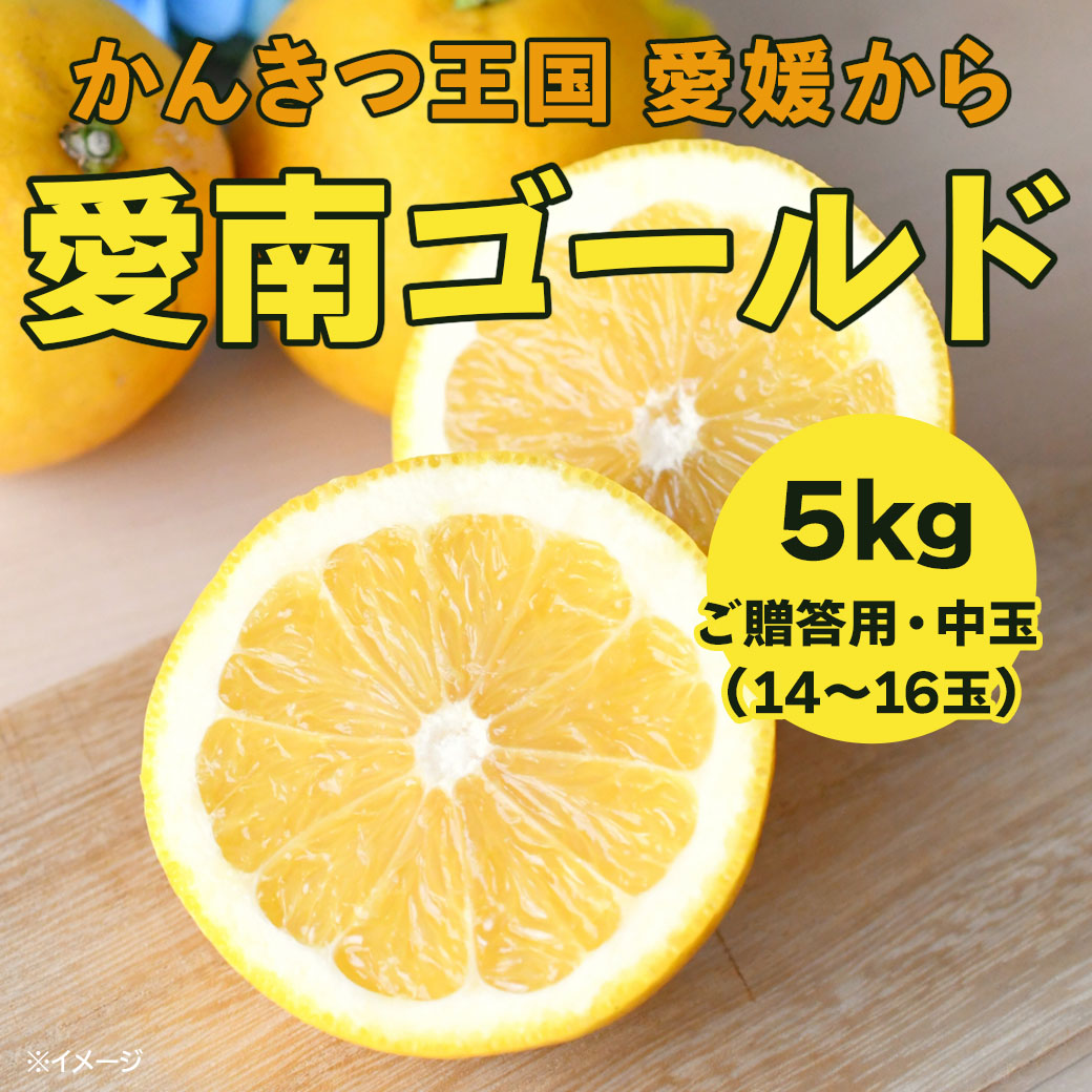 【送料込】果汁たっぷり！程よい酸味がうれしい愛媛県愛南町からお届け『河内晩柑･愛南ゴールド5kg』（中玉14～16玉）ご贈答用