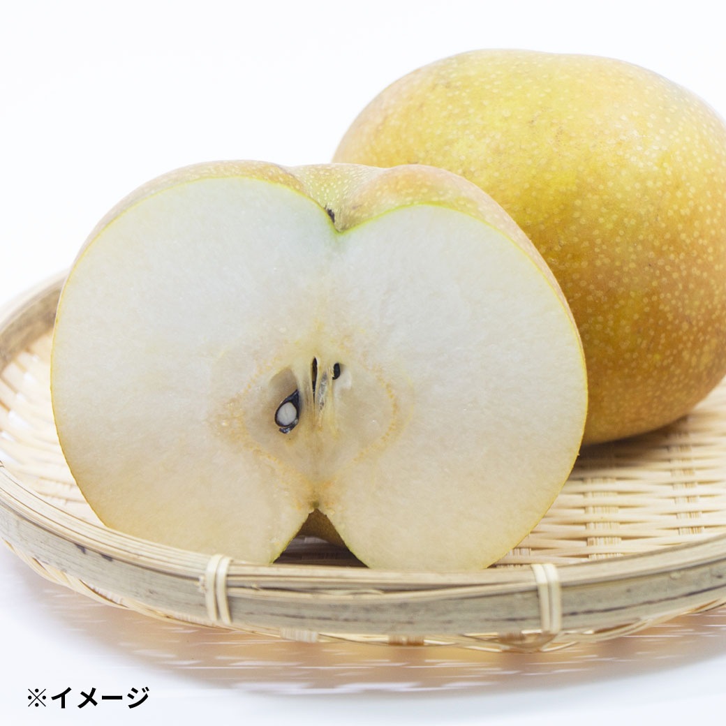 【送料込】果汁たっぷり！シャリシャリ感がたまらない！信州生まれの「南水梨」