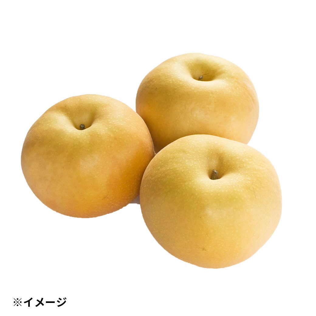 【送料込】果汁たっぷり！シャリシャリ感がたまらない！信州生まれの「南水梨」