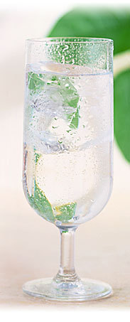 【送料込】 飲むアルカリ温泉水 乳幼児にも安心 ホップスウォーター 500ml(25本/箱x2箱 計50本)