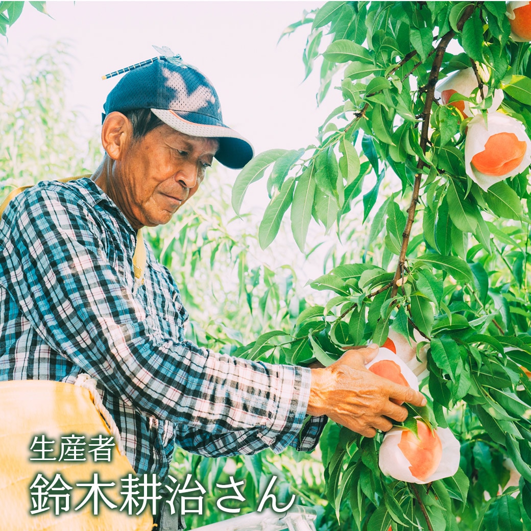 (予約販売)【送料込】限定100セットのスペシャル産直!『福島県国見町・桑折町産の贈り桃』(約2kg)平均糖度は13度以上!ご自宅用はもちろん、大切な方への贈り物に!信頼できる生産者の桃を選びたい方へ!